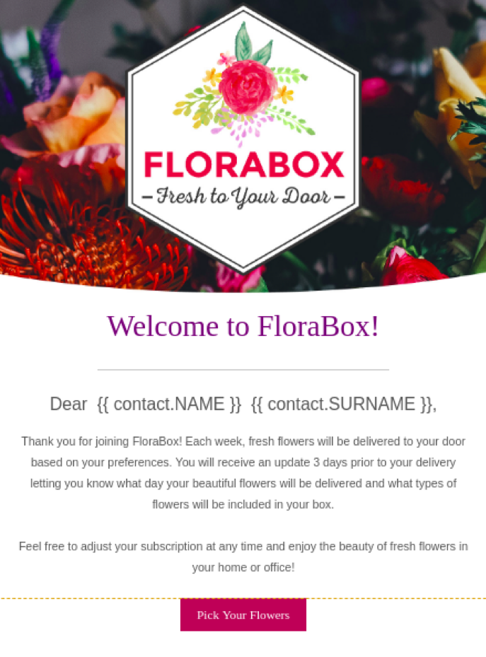 strategie di email marketing sendinblue template it
